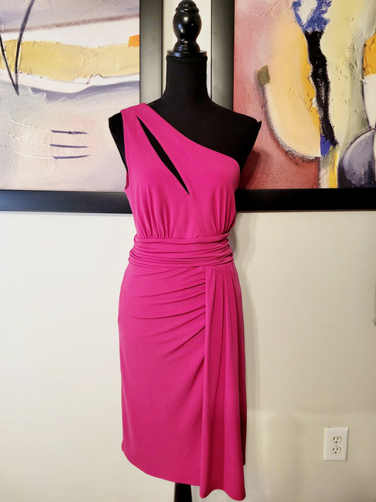 Size 10 Maxandcleo Dress